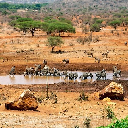 Kilaguni Serena Safari Lodge Tsavo Екстер'єр фото