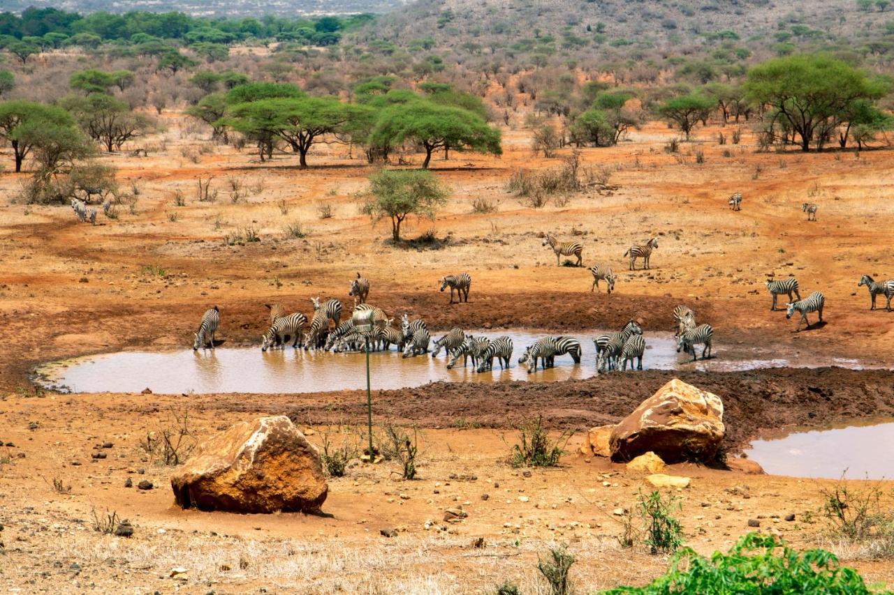 Kilaguni Serena Safari Lodge Tsavo Екстер'єр фото
