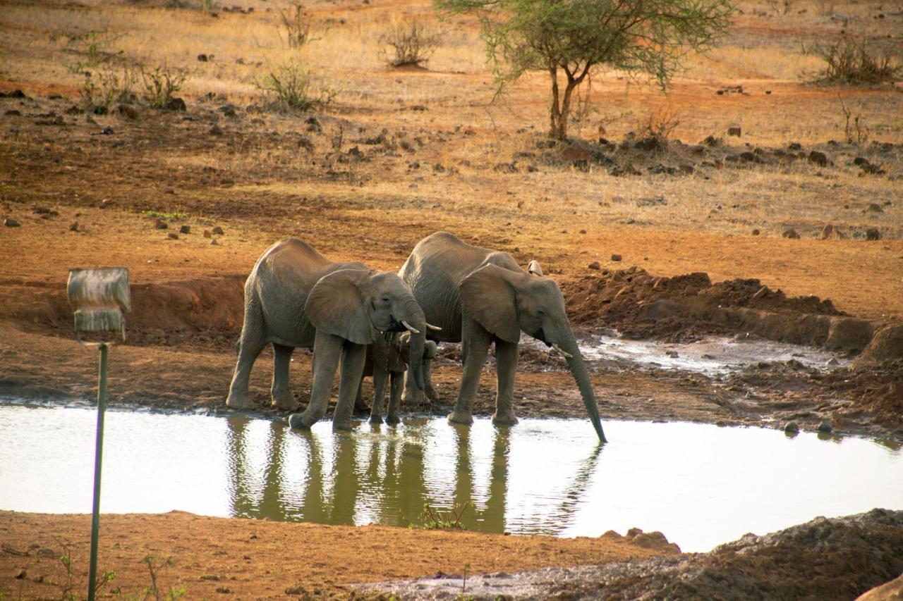 Kilaguni Serena Safari Lodge Tsavo Екстер'єр фото