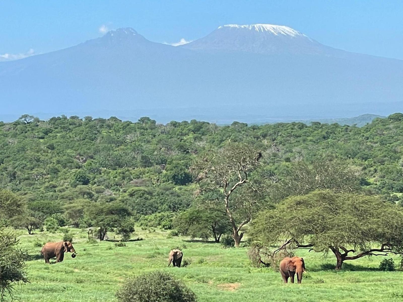 Kilaguni Serena Safari Lodge Tsavo Екстер'єр фото