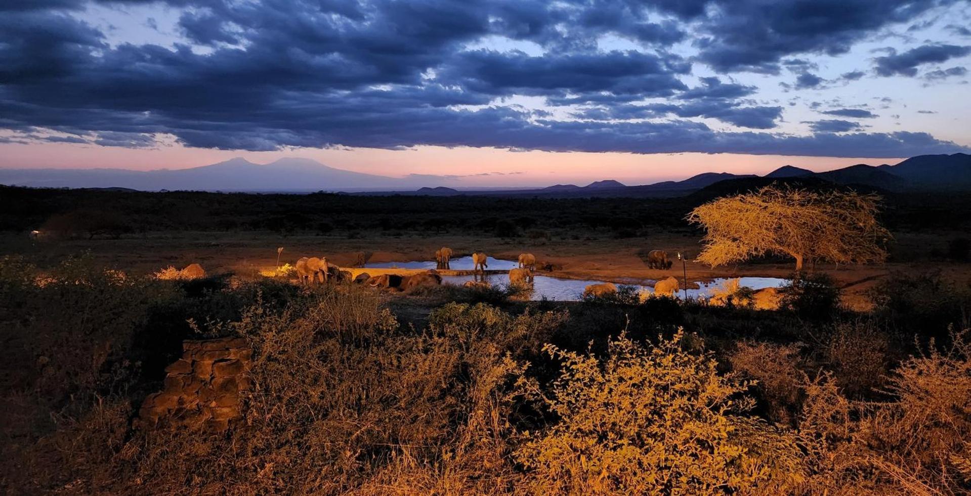 Kilaguni Serena Safari Lodge Tsavo Екстер'єр фото