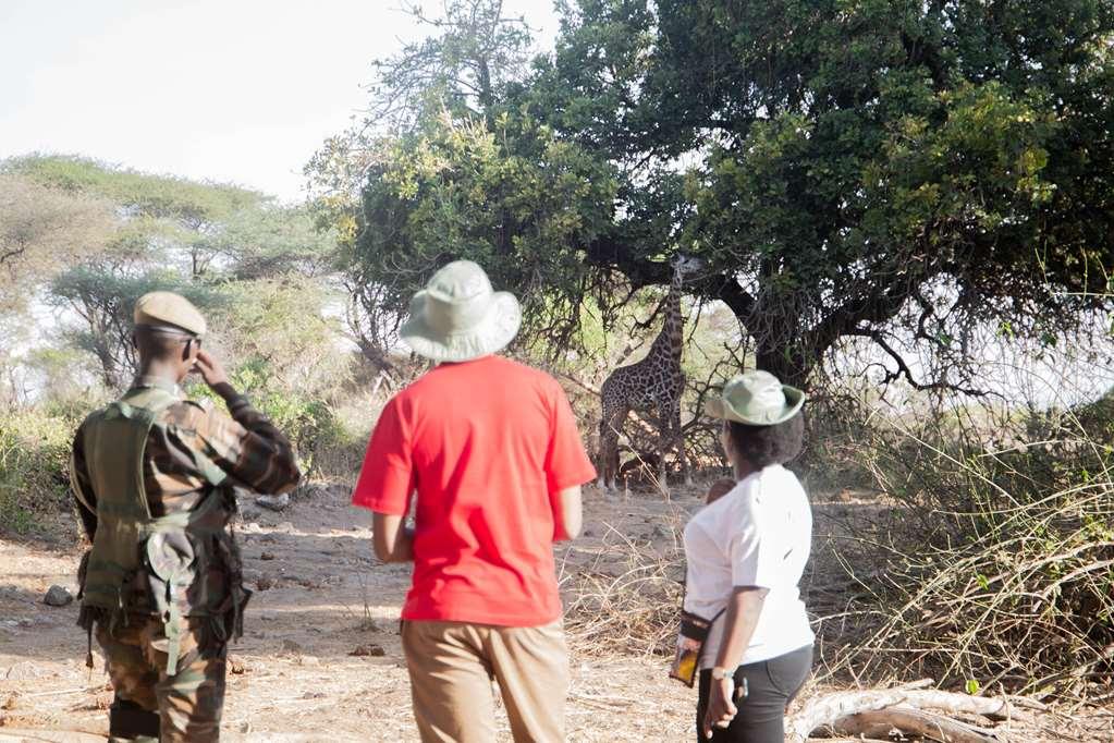 Kilaguni Serena Safari Lodge Tsavo Зручності фото